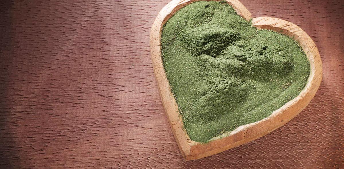 spiruline cancer