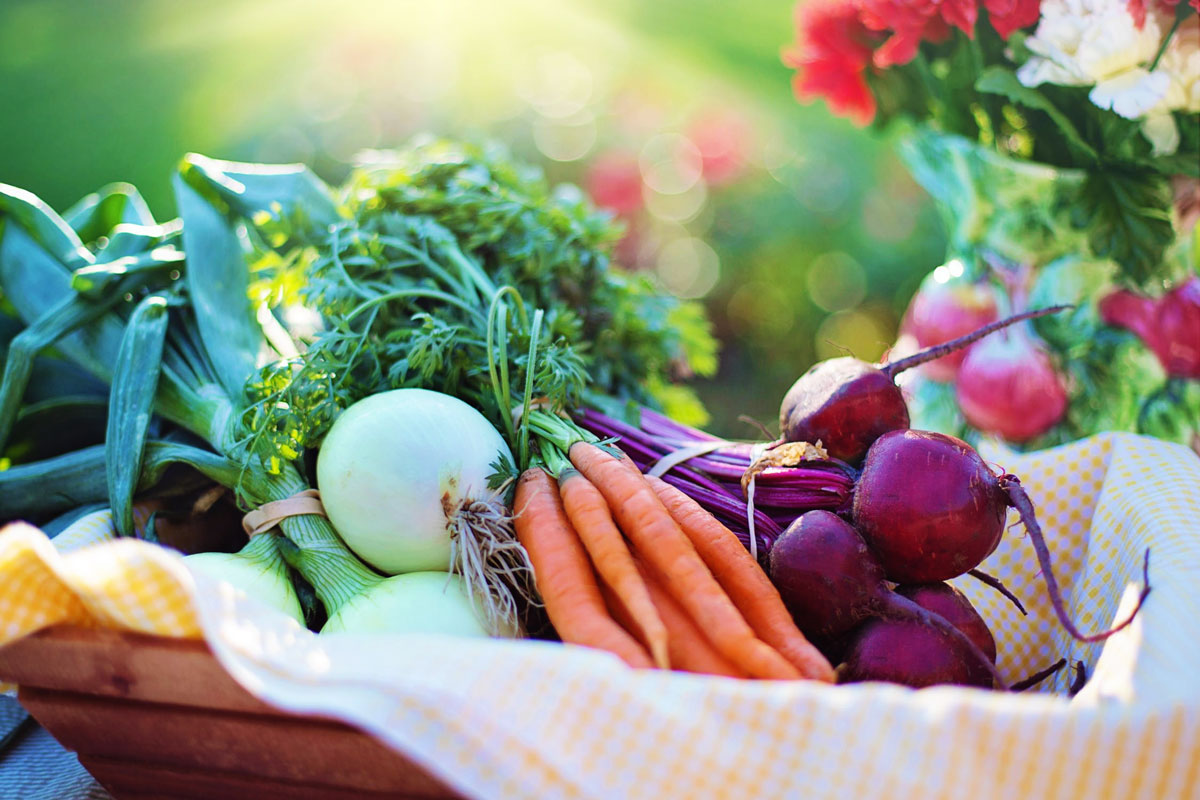 alimentation anti cancer